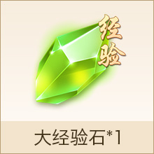 大经验石*1